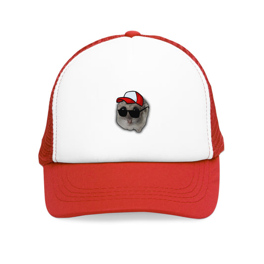 Hamsti Capy