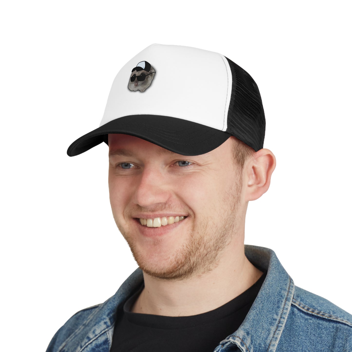 Hamsti Capy