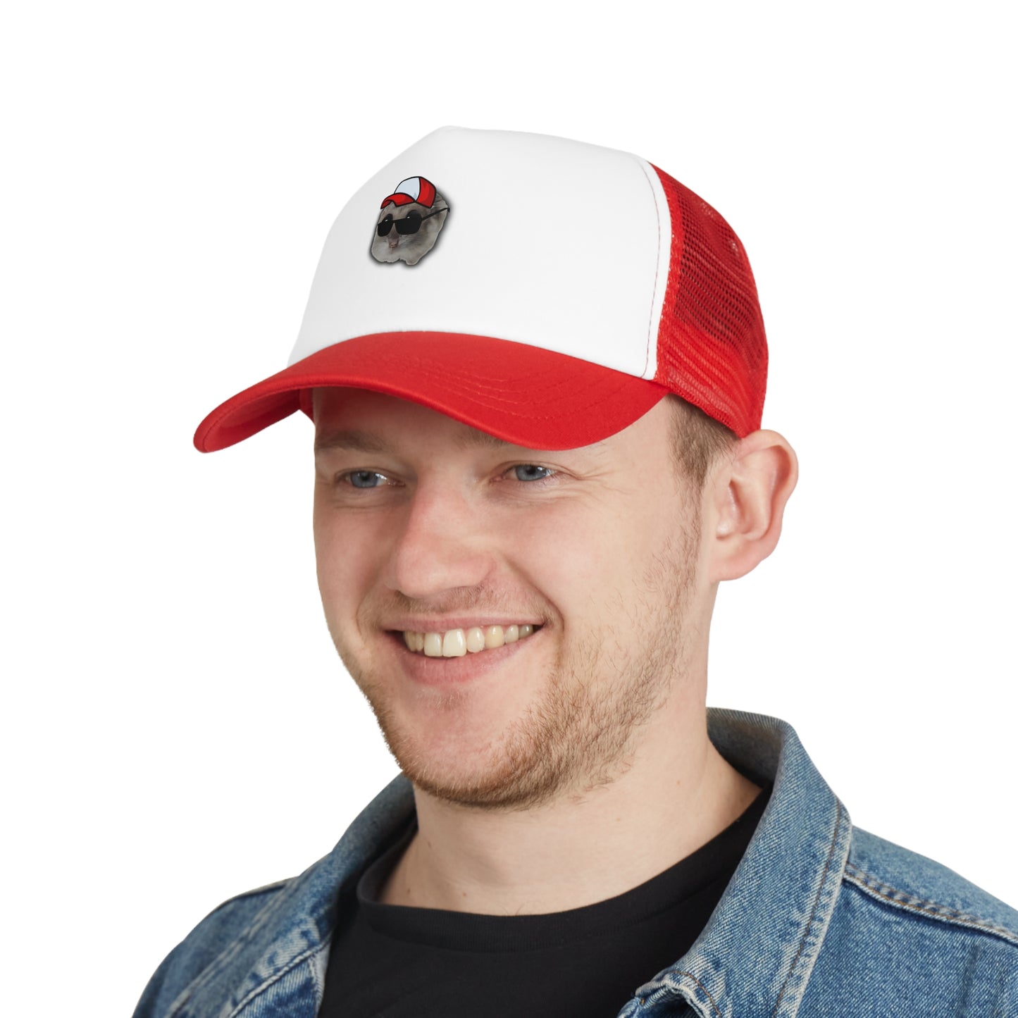 Hamsti Capy