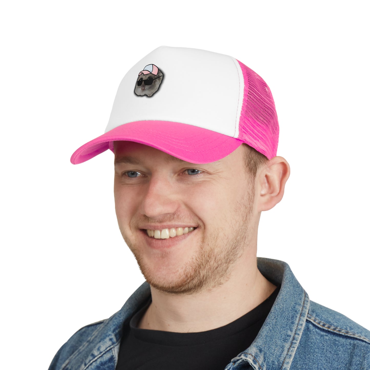 Hamsti Capy