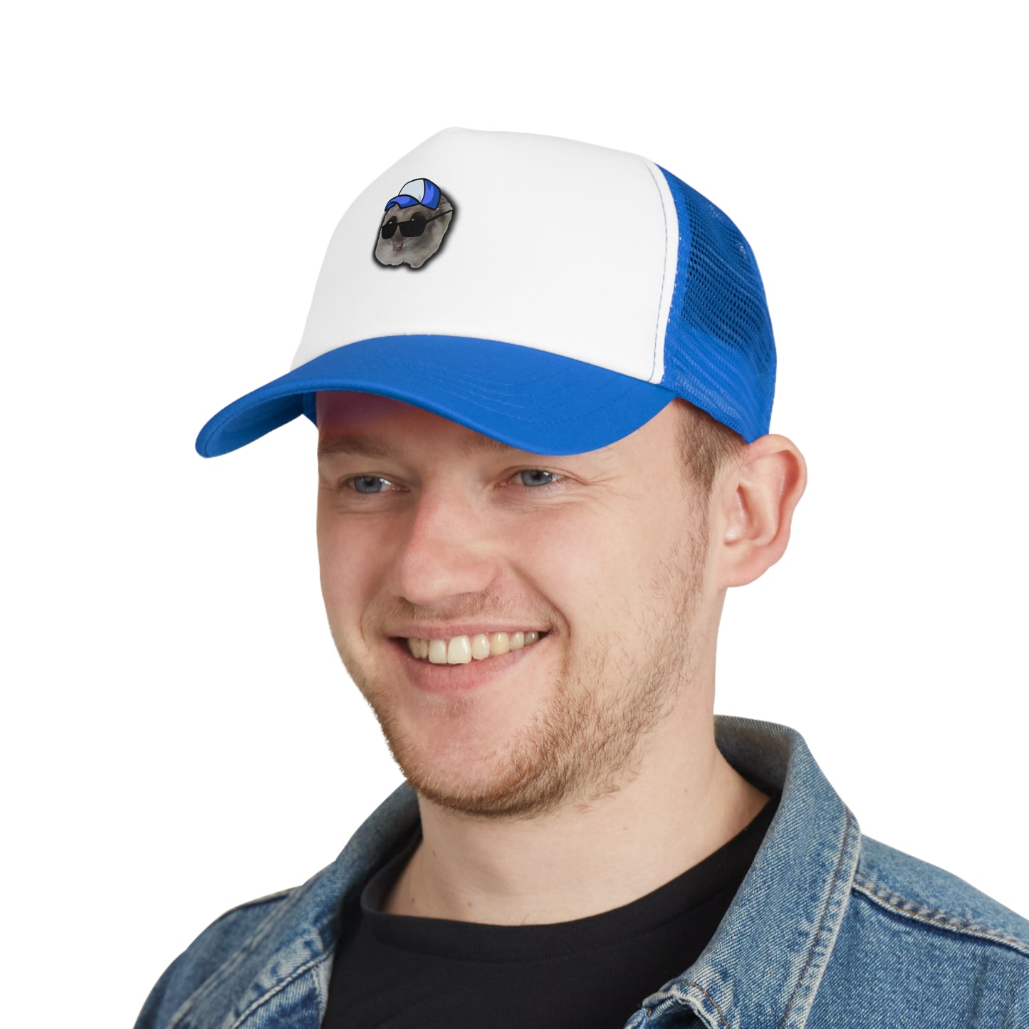 Hamsti Capy