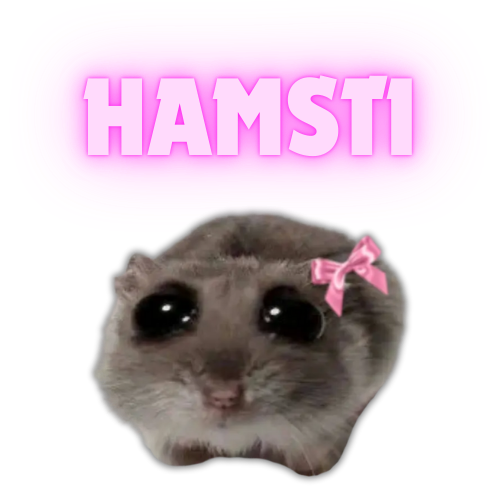 HAMSTI